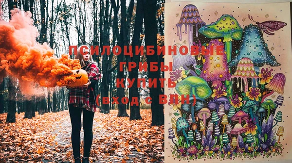 спиды Белоозёрский