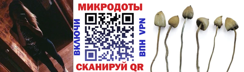 Галлюциногенные грибы мухоморы  Челябинск 
